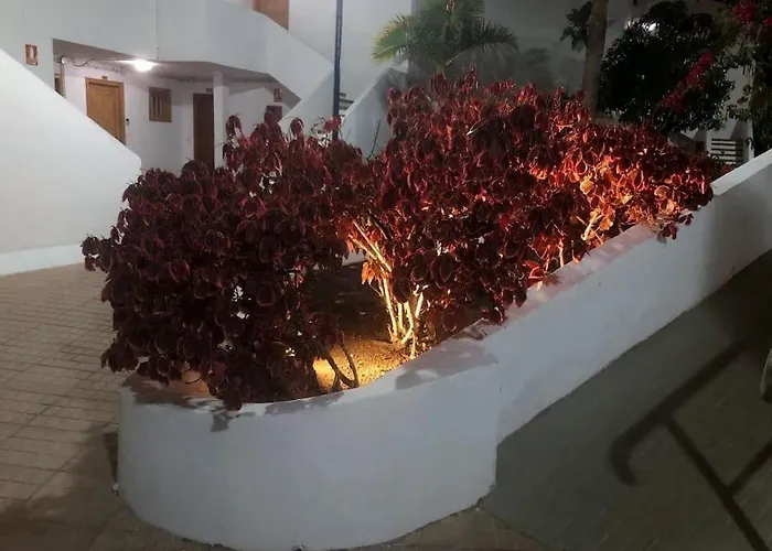 Helena En Garden Con Piscina Climatizada アパート Playa Feñabe