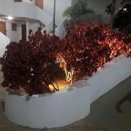Helena En Garden Con Piscina Climatizada شقة Playa Feñabe
